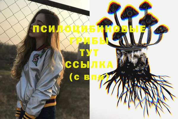 тгк Инсар