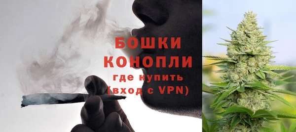 тгк Инсар