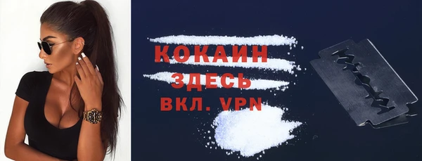 тгк Инсар