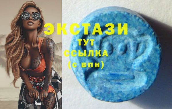 тгк Инсар