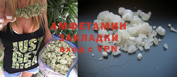 тгк Инсар